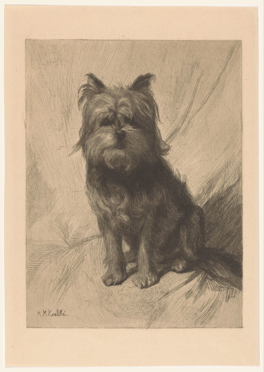 Holländsk smoushond av Heinrich M. Krabbé
