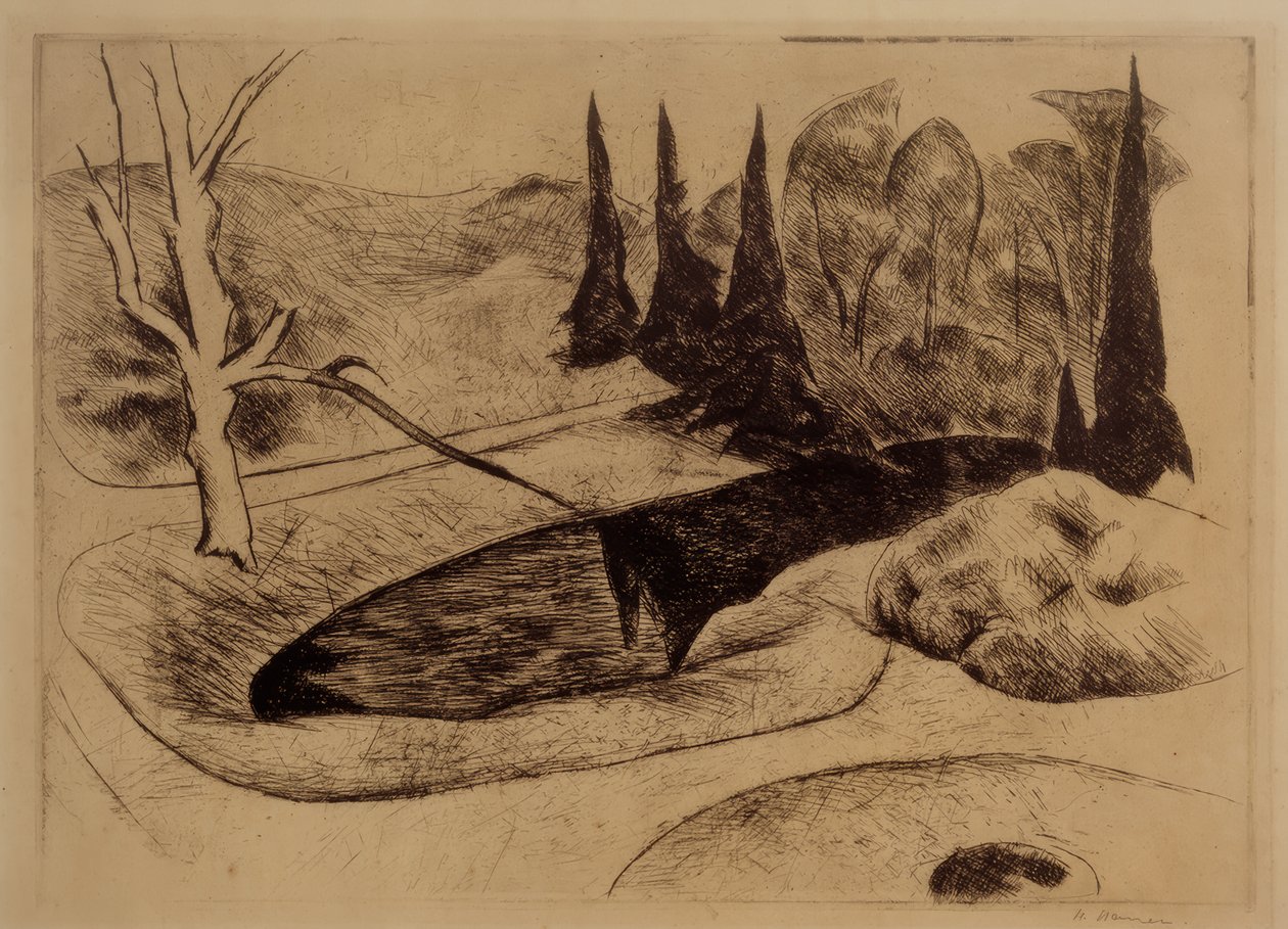 Park i Dilborn, 1914 av Heinrich Nauen