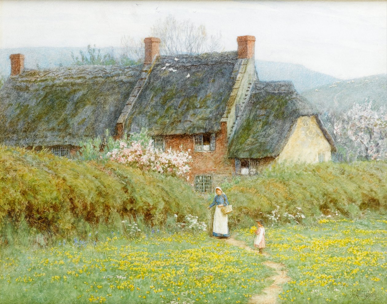 Buttercups, Near Bridport, Dorset (wc på papper) av Helen Allingham