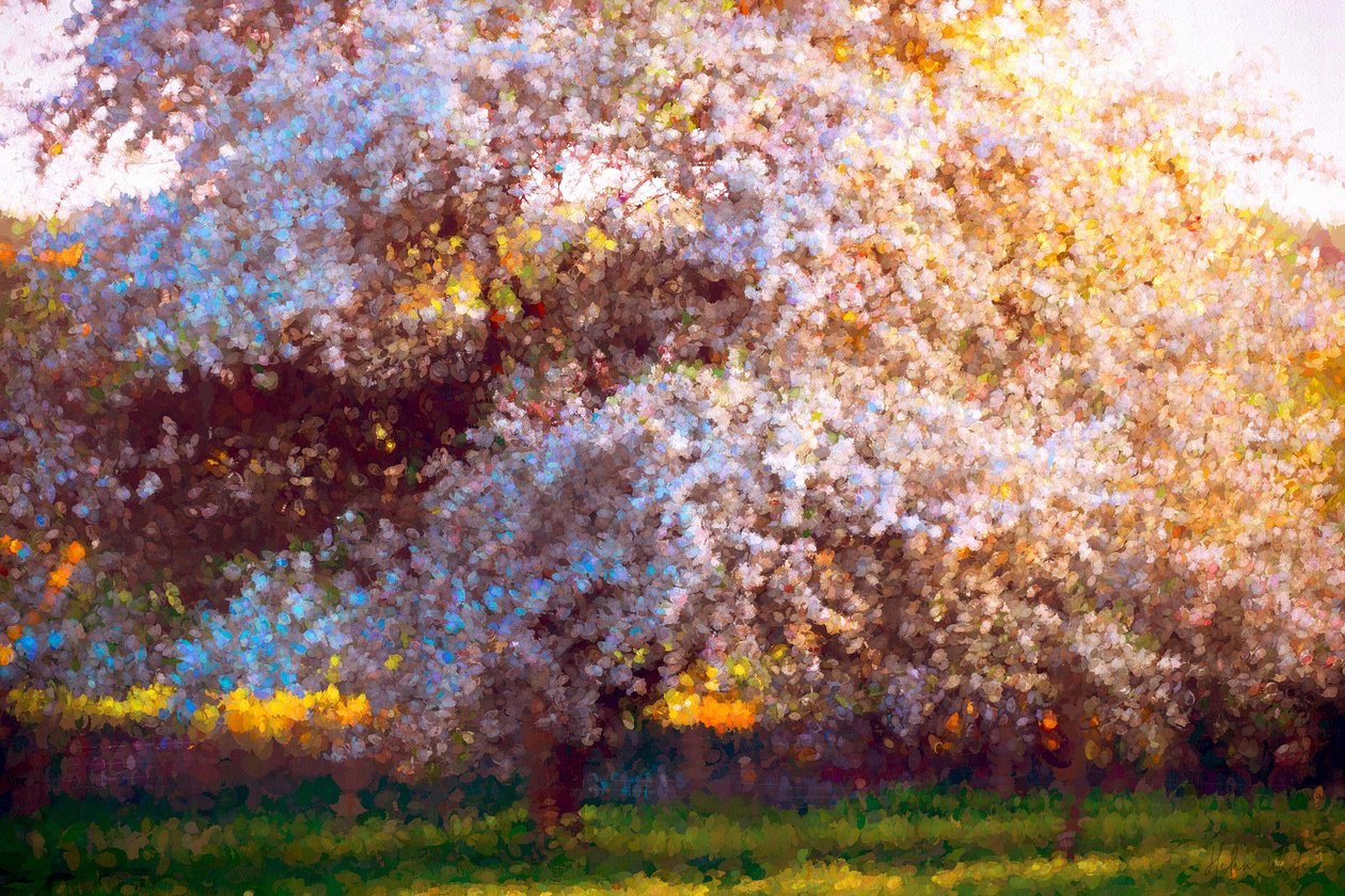 Evening Blossom, 2018, av Helen White