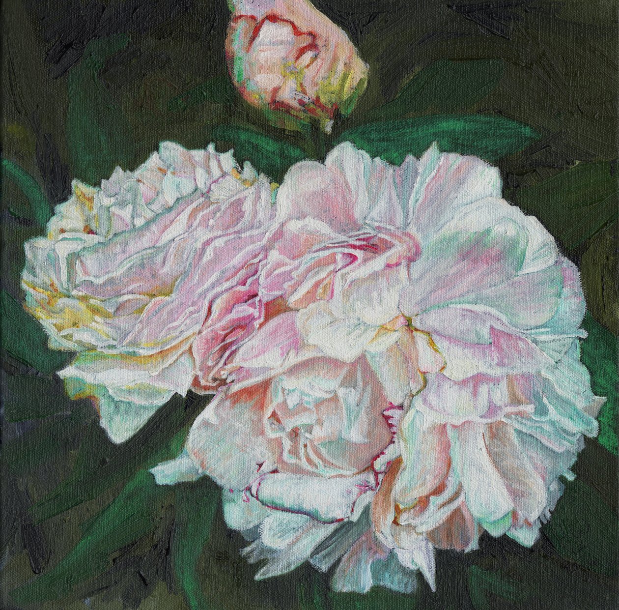Första blomningen, 2012, av Helen White
