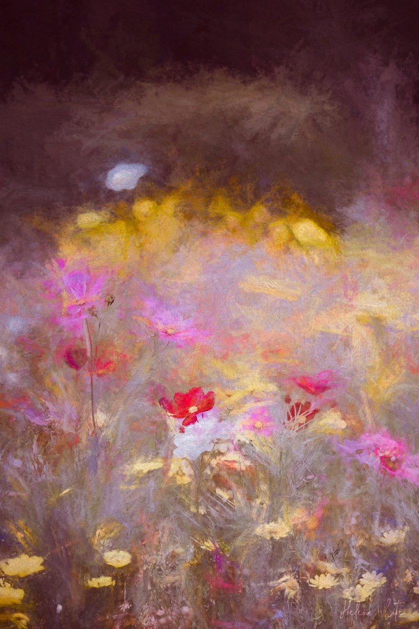 Meadow, 2018, av Helen White
