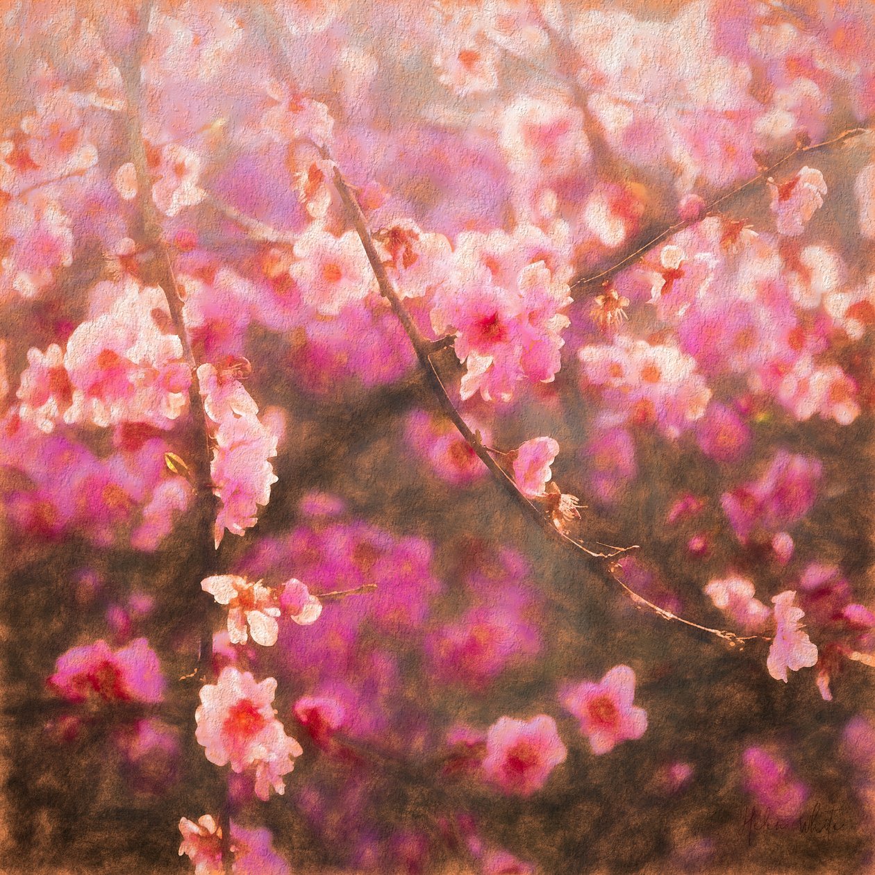 Spring Spring; 2018, Mixed media)swed av Helen White