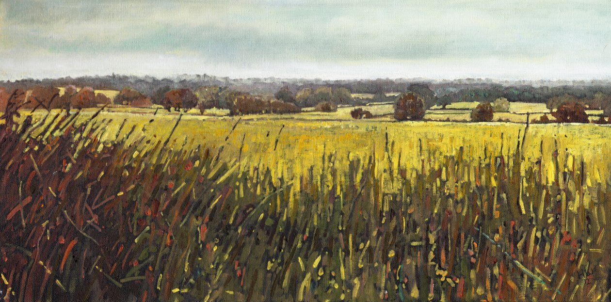 Mot Riseley, 2012, av Helen White