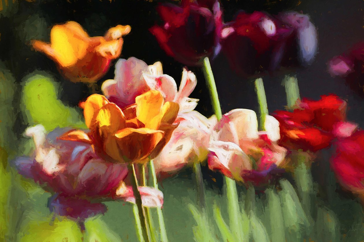 Tulip Field, 2018, swed av Helen White