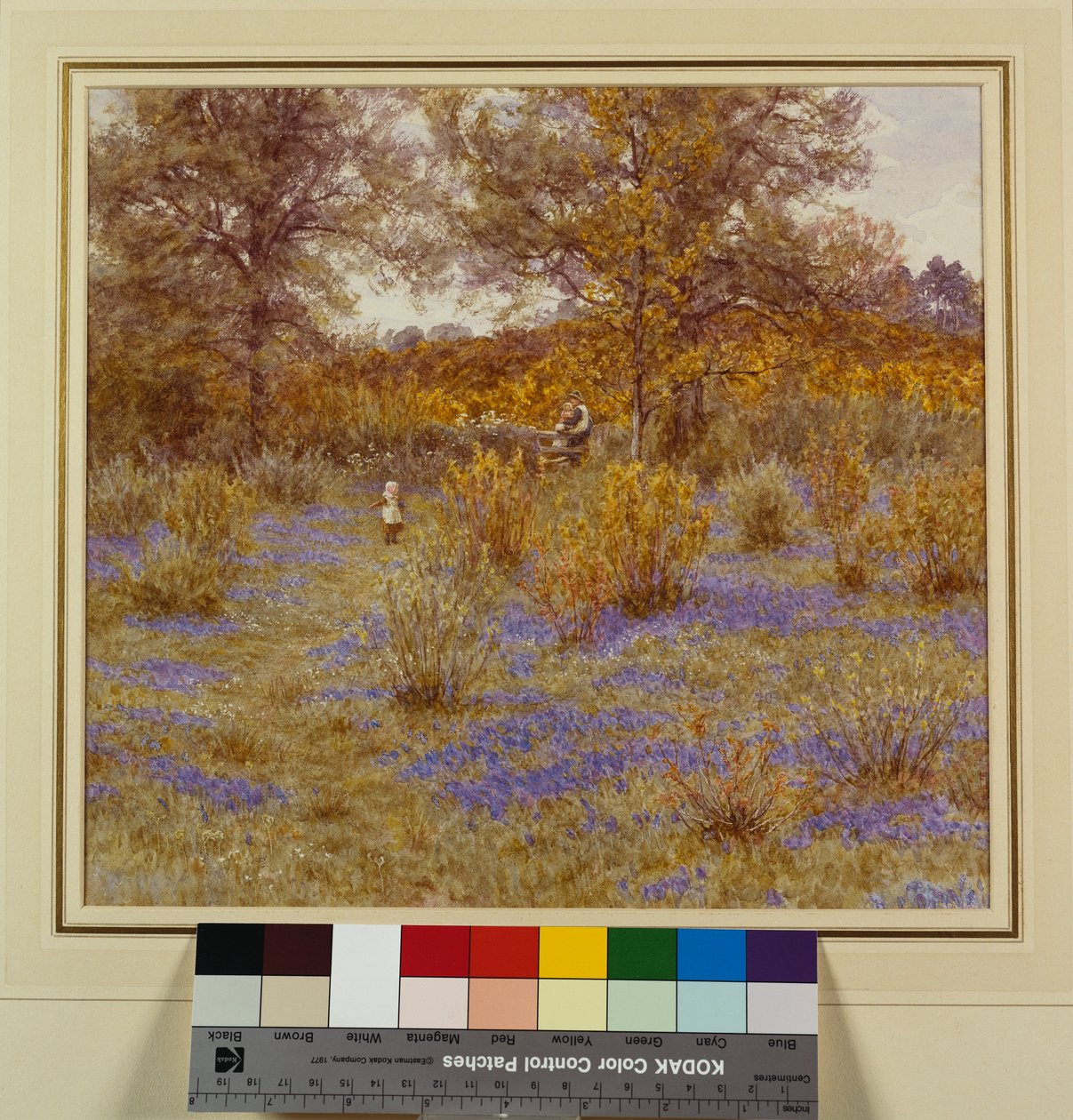 Bluebell Copse, 1889 av Helen Allingham