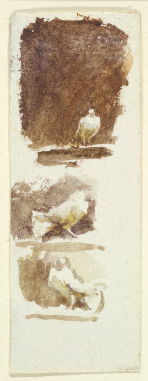 Duvor (wc på papper) av Helen Allingham