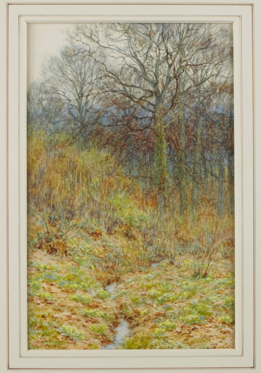 Our Primrose Wood, 1913 av Helen Allingham