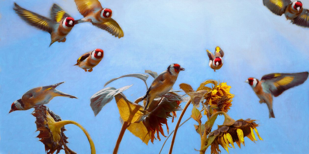 A Charm of Goldfinches, 2020 av Helen White