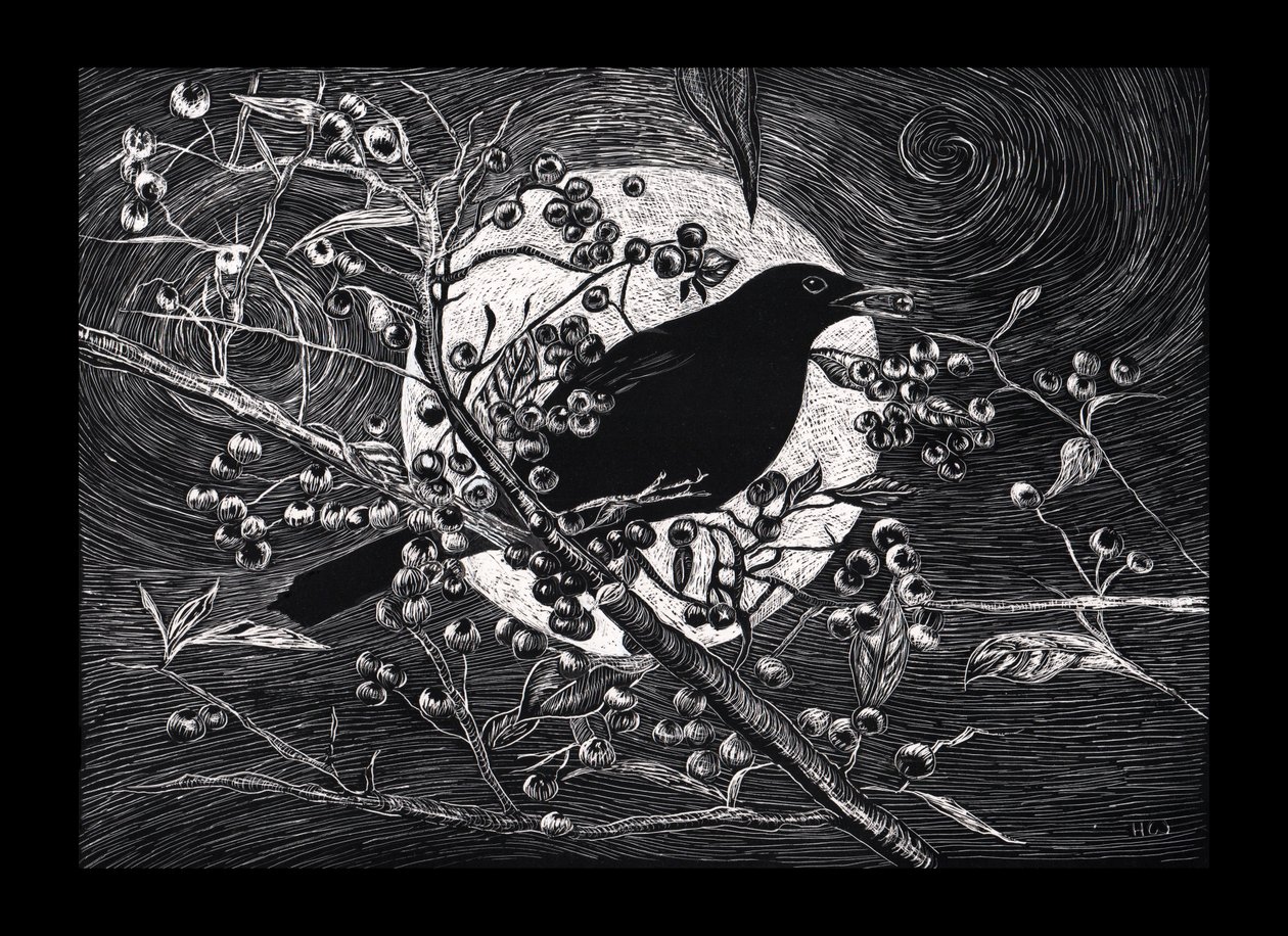 Blackbird, 2023 av Helen White