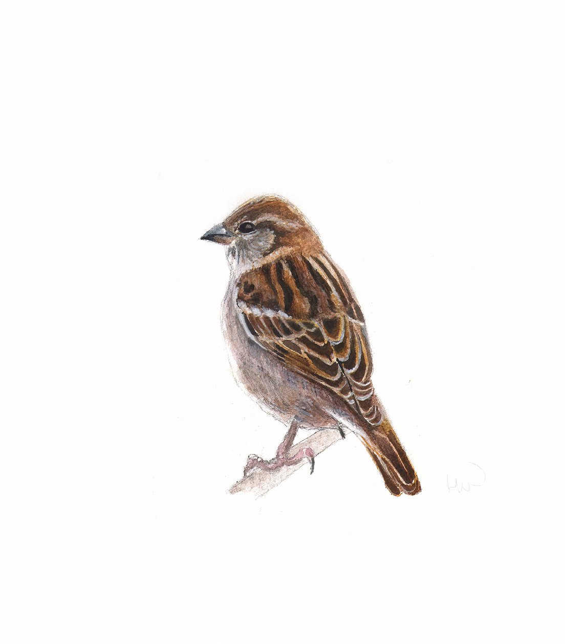 Sparrow I, 2022 av Helen White