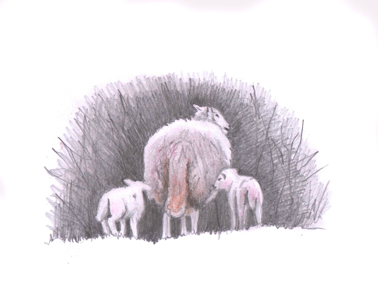Följ, 2016, (pennteckning) av Helen White