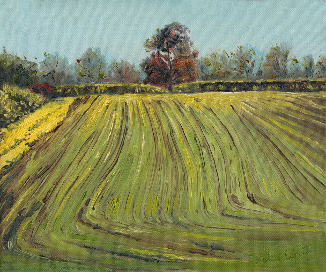 Fåror, 2008 av Helen White