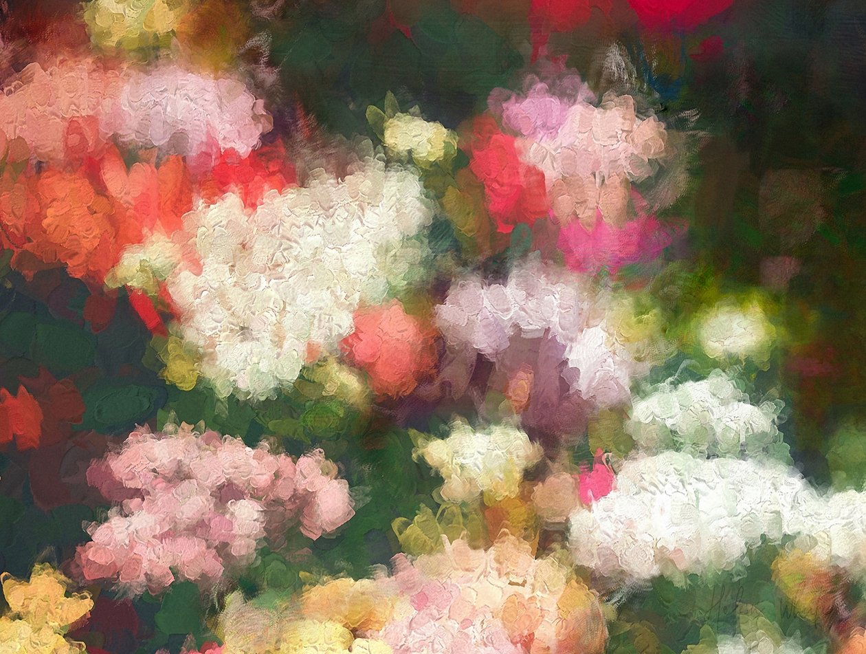 Hjärtats trädgård, 2018 av Helen White