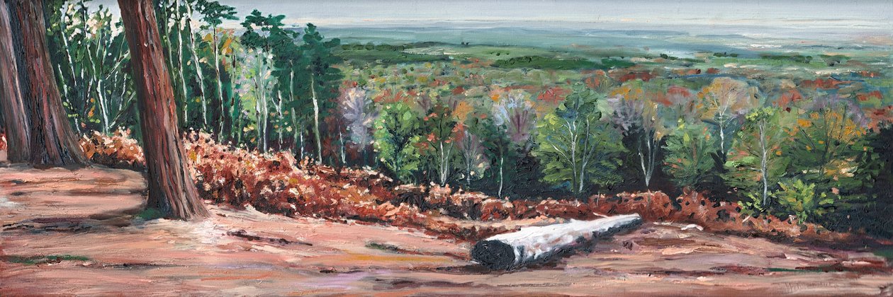 High Ridge, 2009 av Helen White