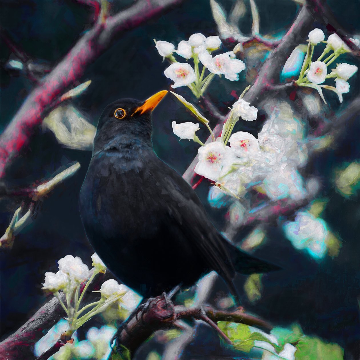 Lord of the Summer Song, 2019 av Helen White