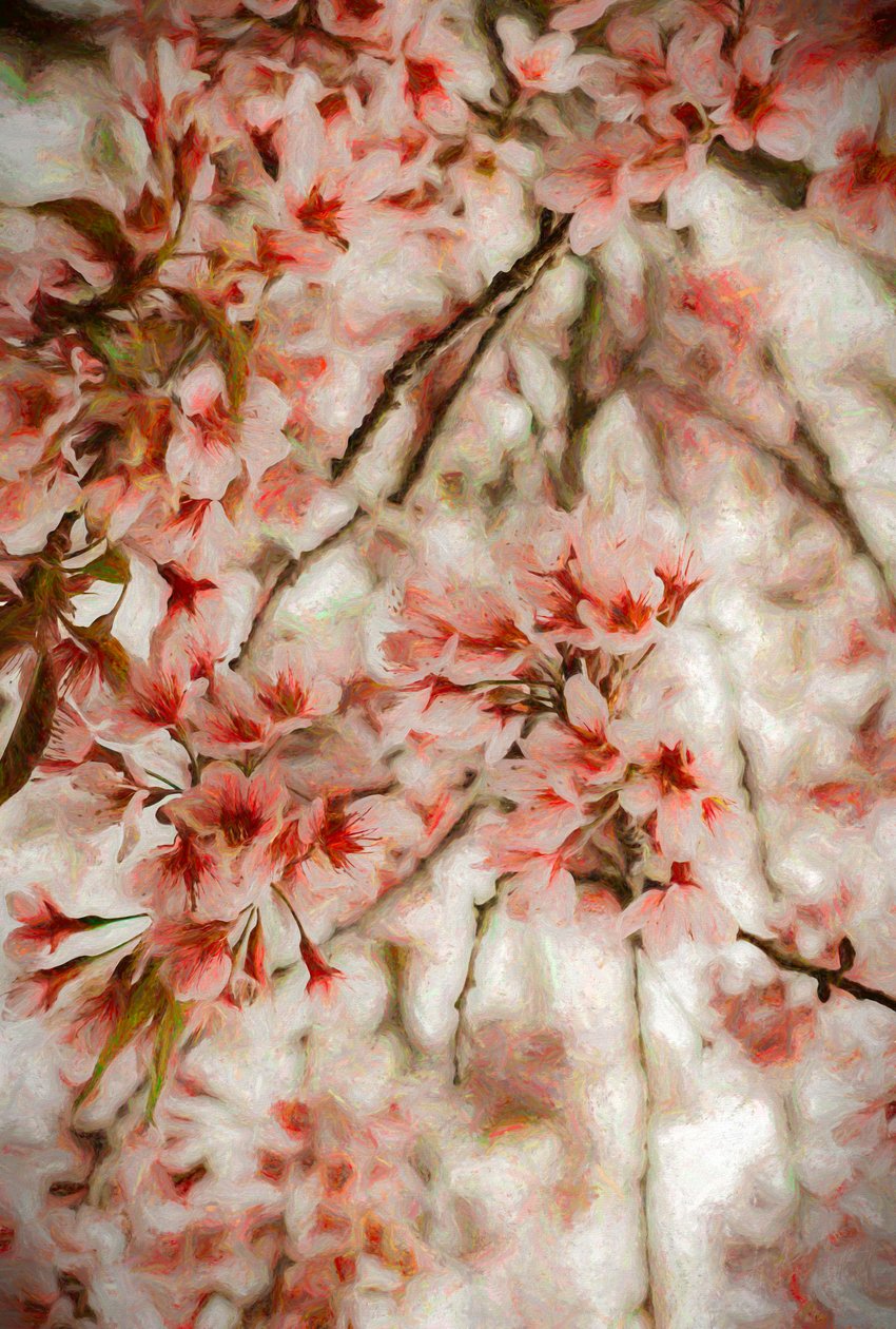 Orientalis, 2020 av Helen White