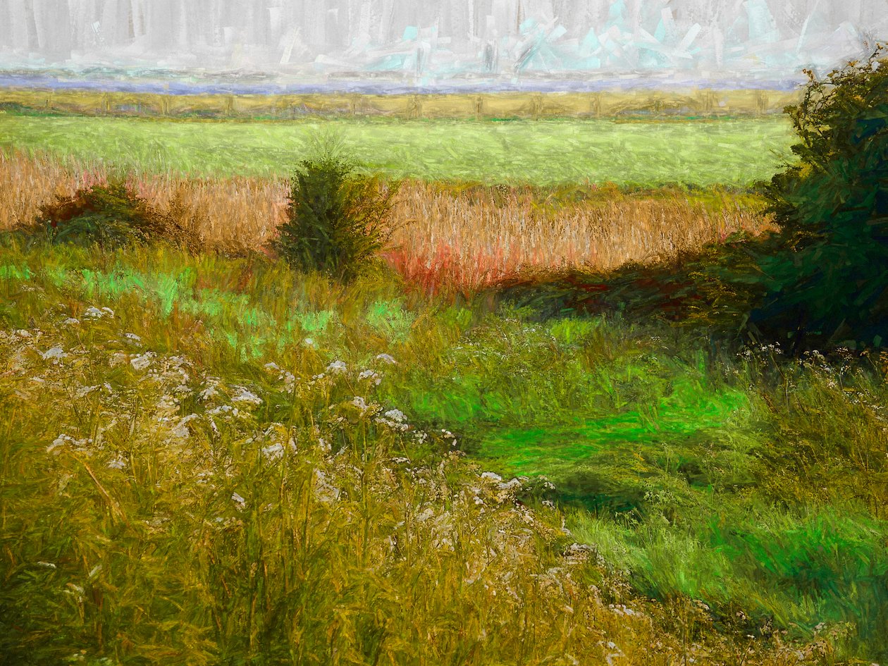 Summer Meadow, 2019 av Helen White