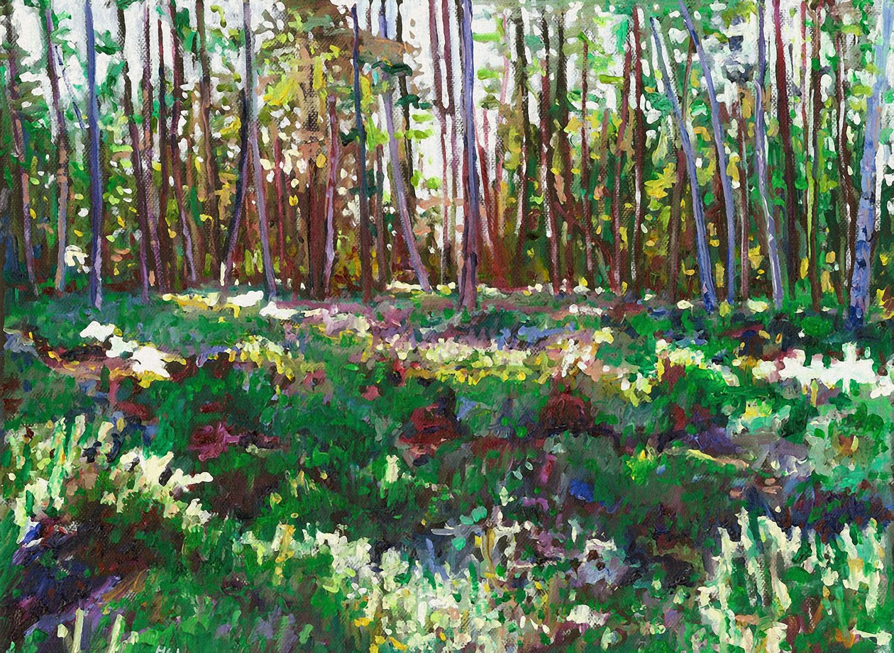 Solljus på Heather, 2011 av Helen White