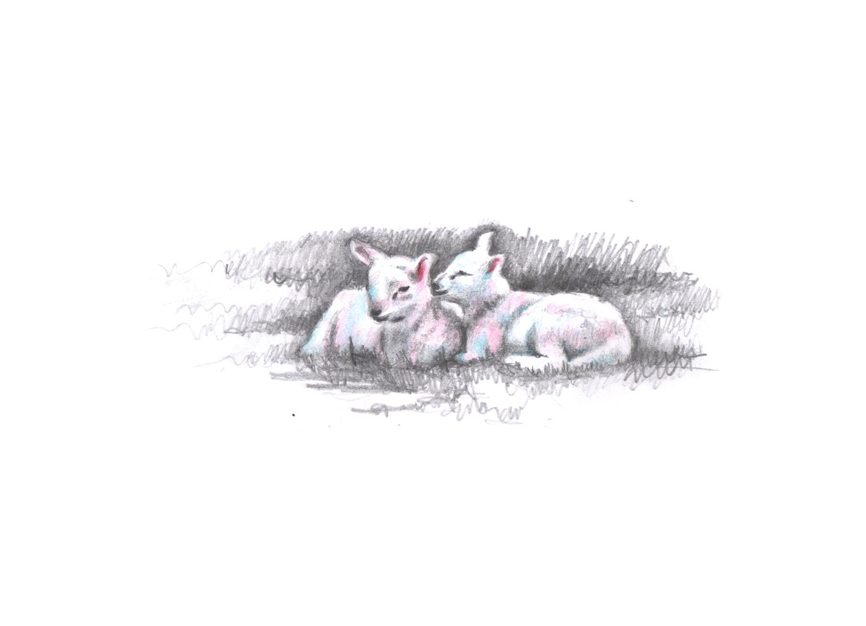 Twinned, 2016, (pennteckning) av Helen White