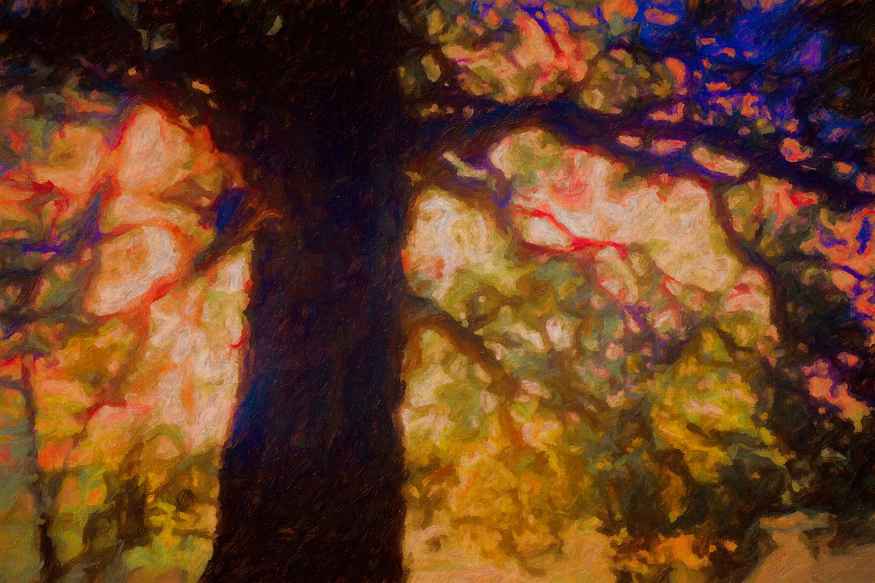 Under Spreading Oak, 2019 av Helen White
