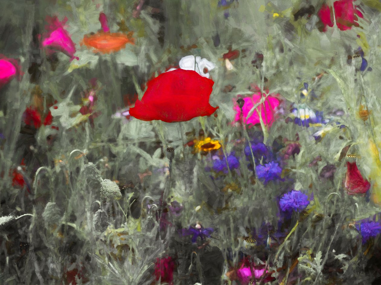 Vilda, 2019 av Helen White
