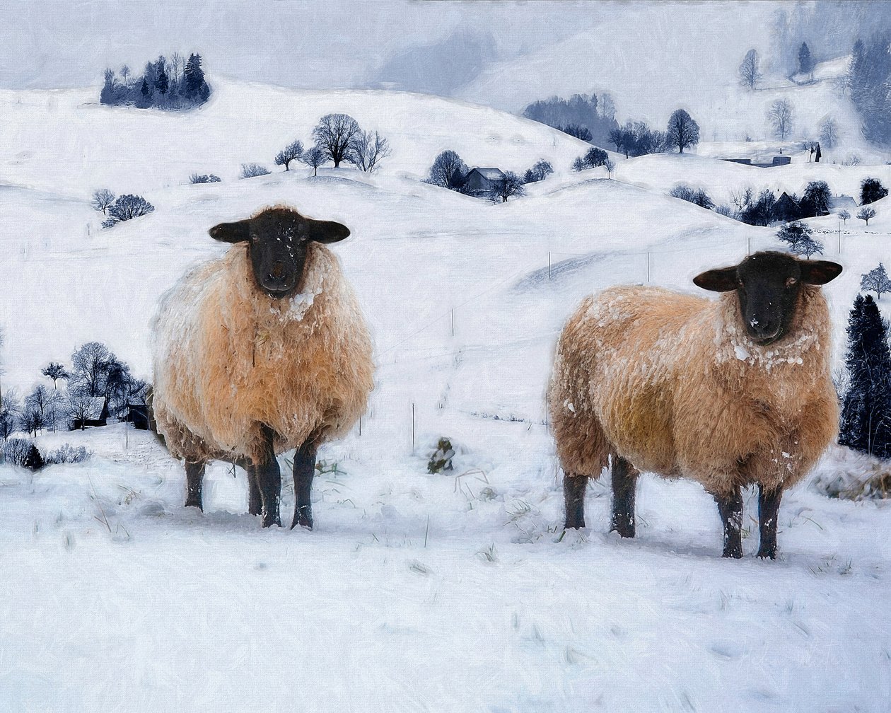 Vinterrockar, 2019 av Helen White