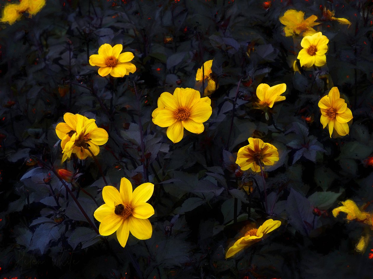 Yellow Velvet, 2019 av Helen White