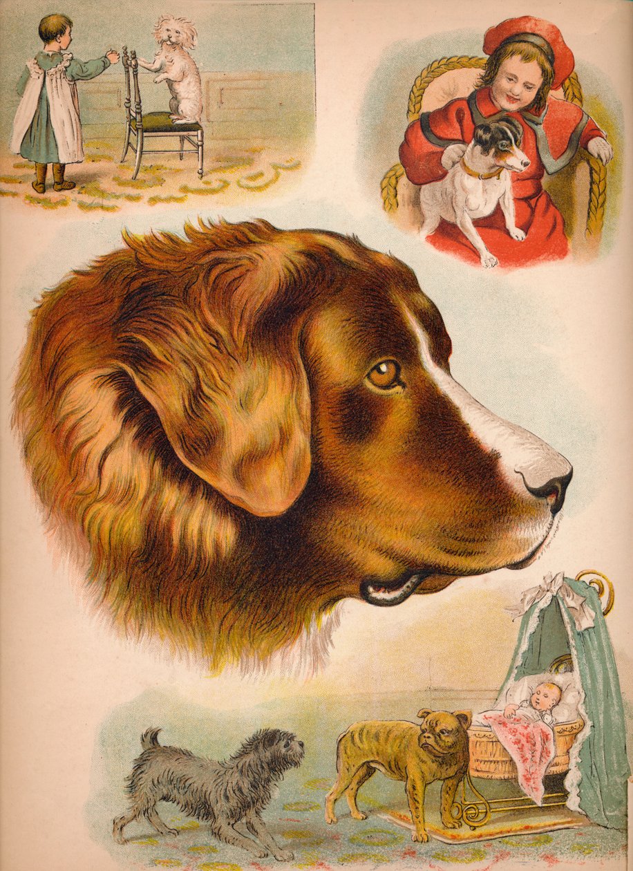 Hunden, c1900 av Helena J. Maguire