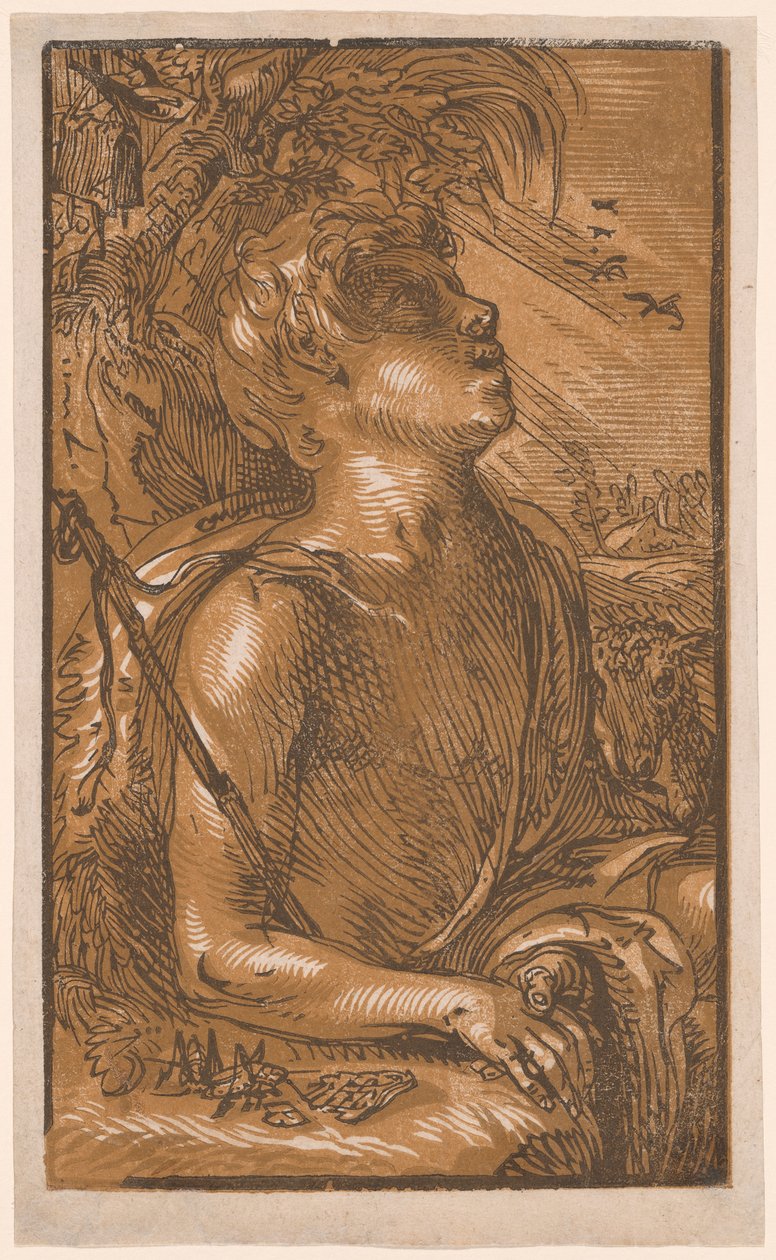 Sankt Johannes Döparen av Hendrick Goltzius