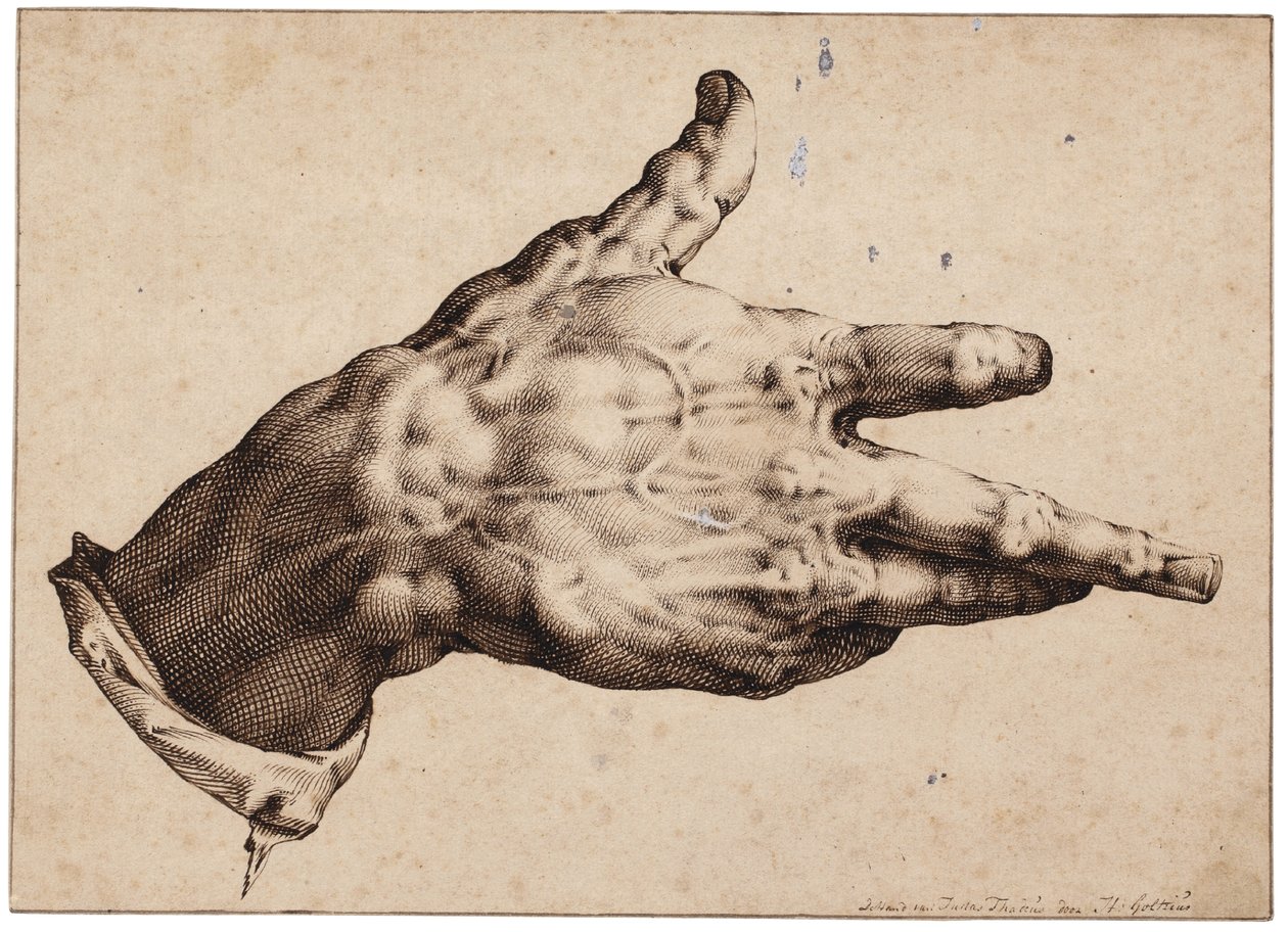 Konstnärens högra hand av Hendrik Goltzius
