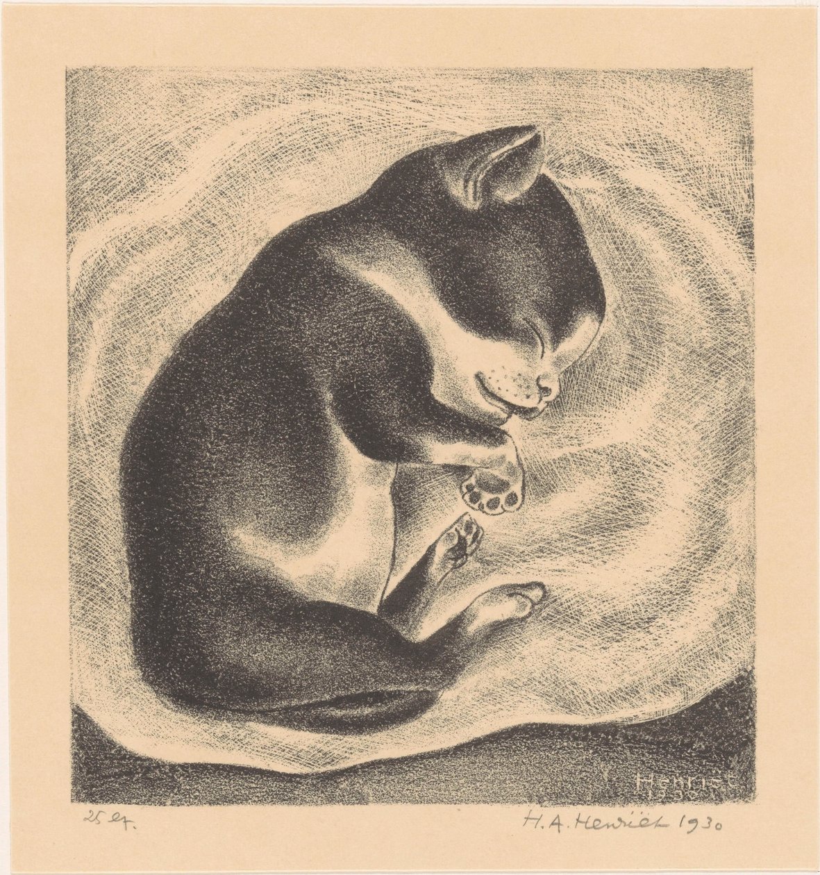 Sovande ung katt av Henk Henriët (signed by artist)