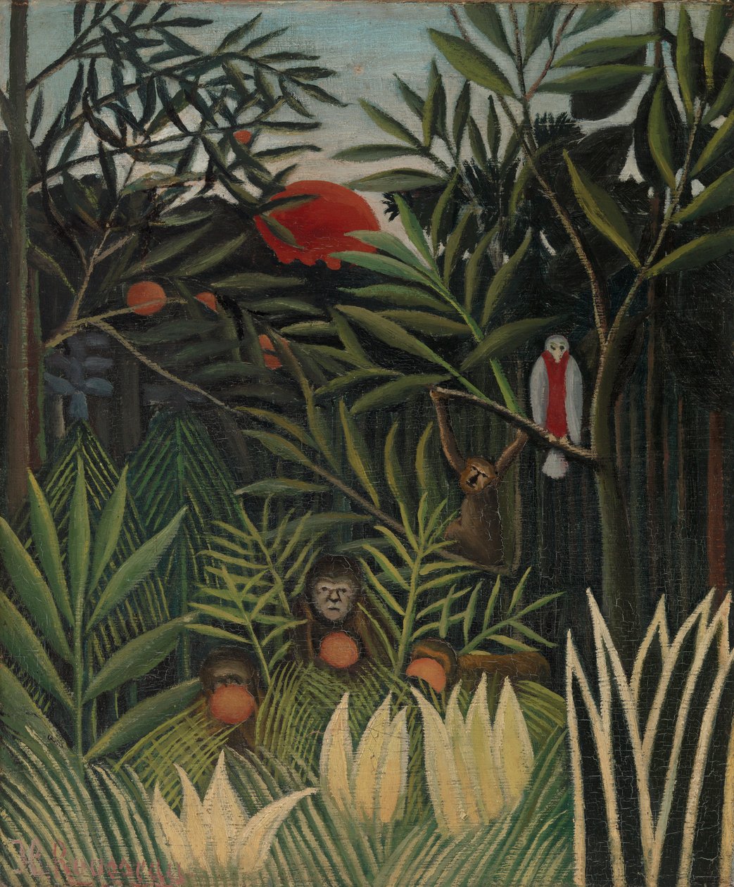 Monkeys and Parrot in the Virgin Forest (Singes et perroquet dans la forêt vierge) av Henri Rousseau