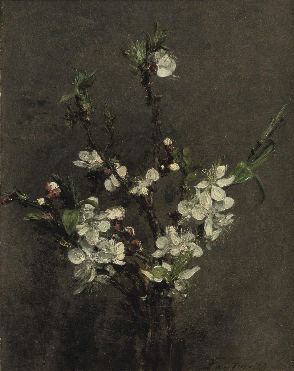 Fruktträd blommor av Ignace Henri Jean Fantin Latour