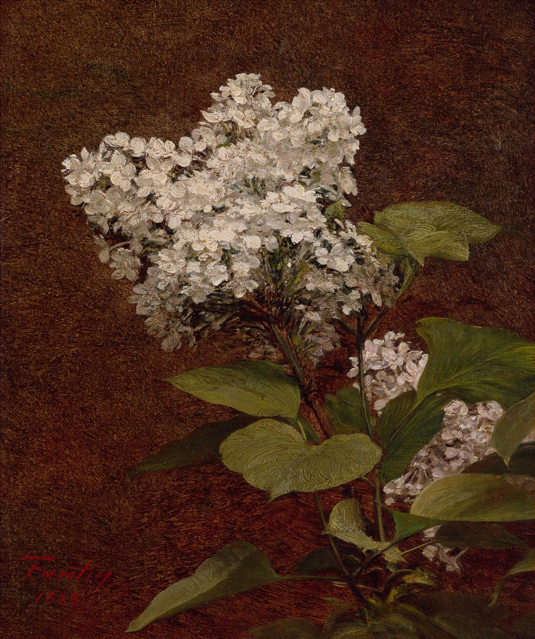 Vita syrener av Ignace Henri Jean Fantin Latour