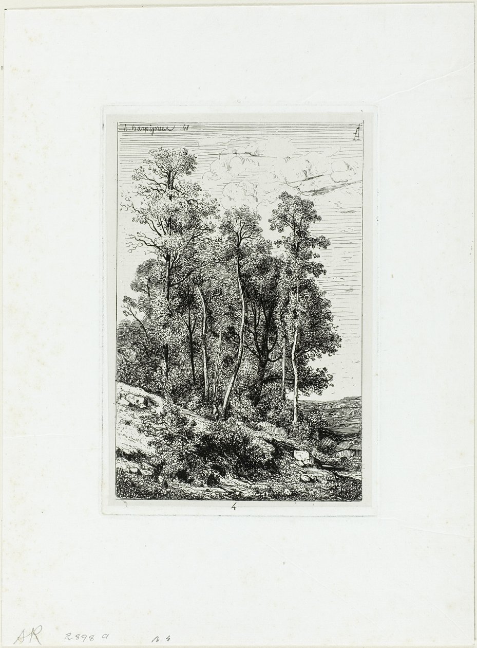 Björkar och ekar av Henri Joseph Harpignies