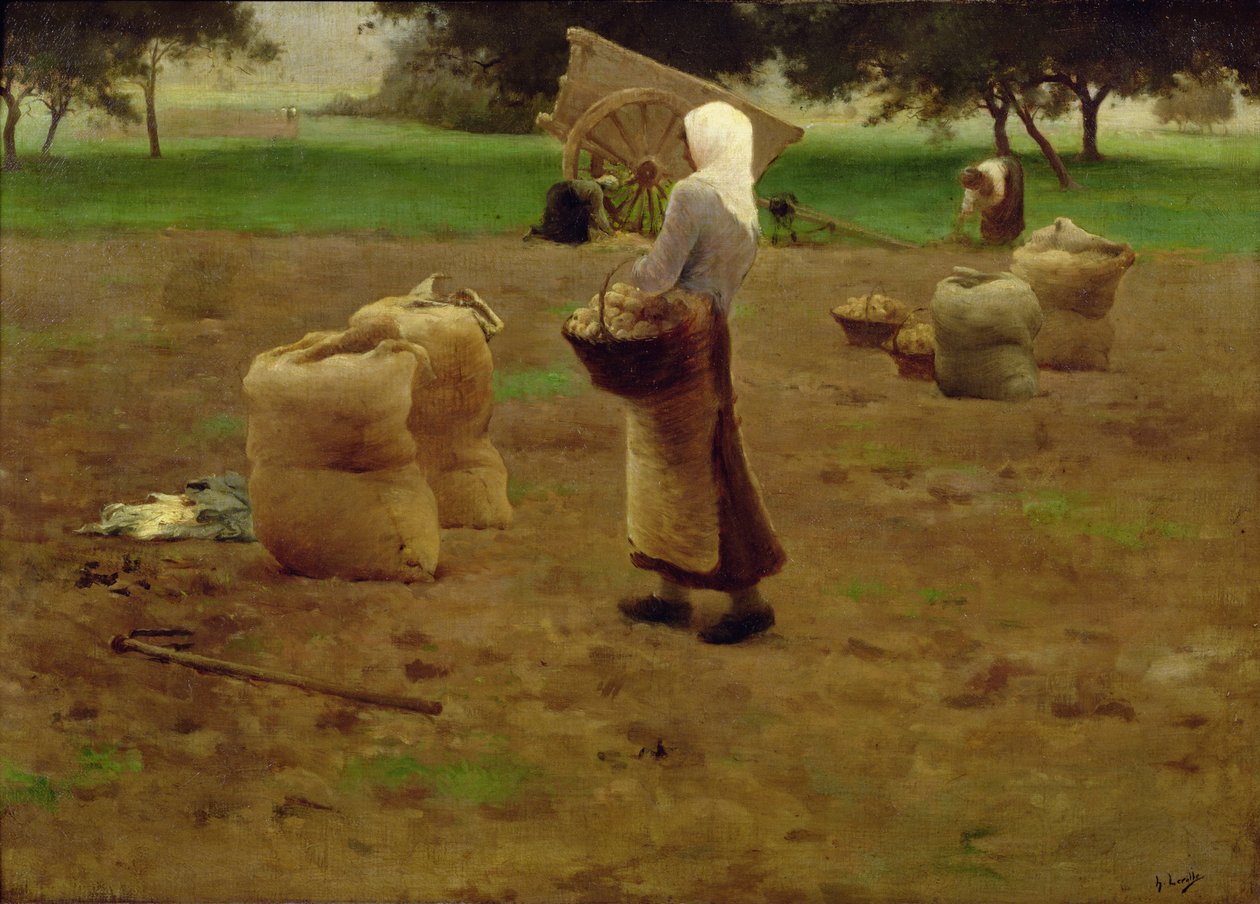 Skörda potatis av Henri Lerolle