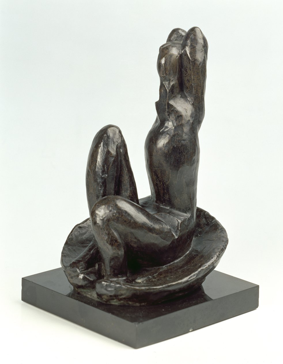 Venus i ett skal I av Henri Matisse