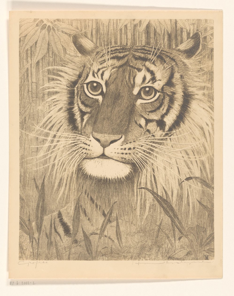 Huvudet av en tiger av Henri Verstijnen (signed by artist)