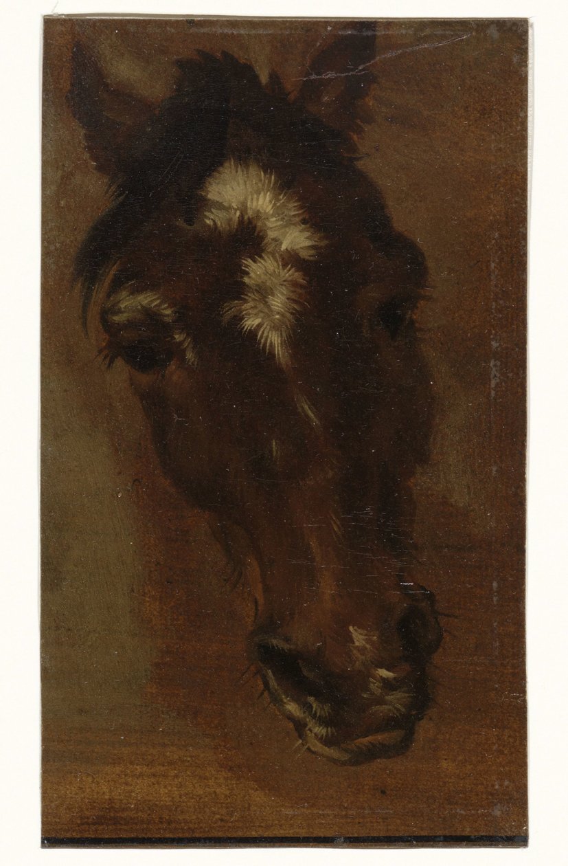 hästhuvud av Henriëtte Ronner