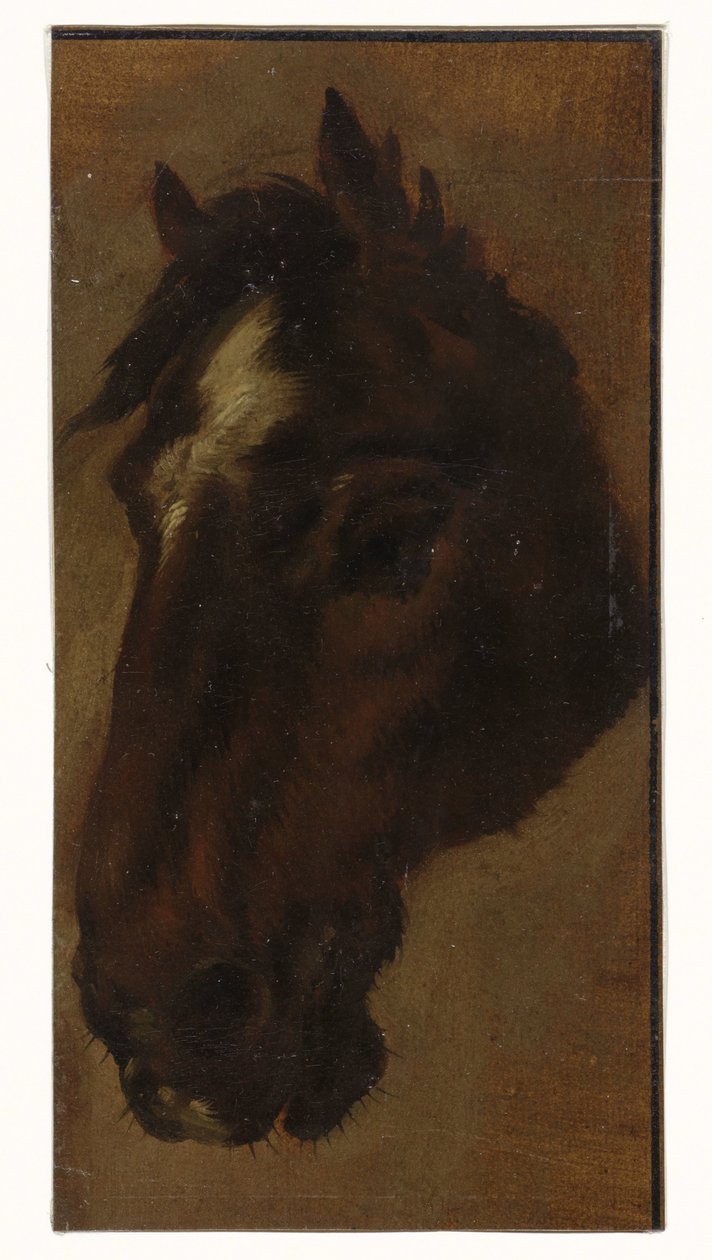 hästhuvud av Henriëtte Ronner