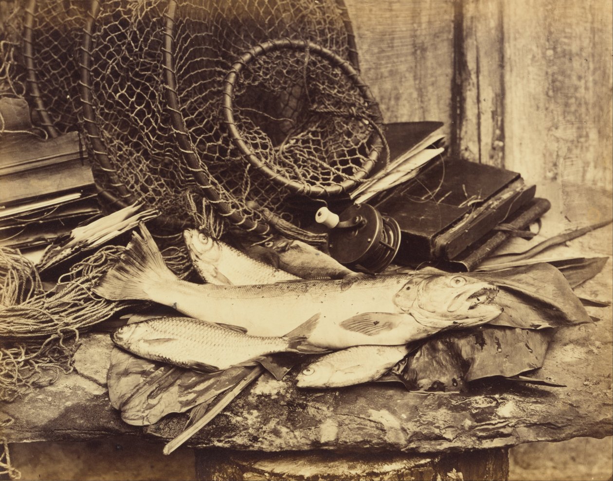 Öring mört etc. av Henry Bailey