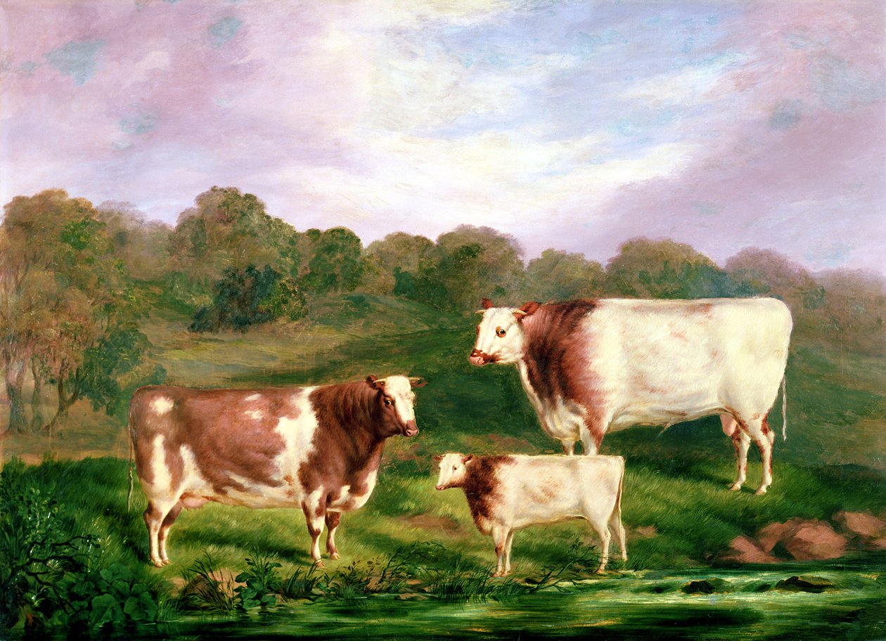 Towneley Pedigrees, 1858-61 av Henry Barraud
