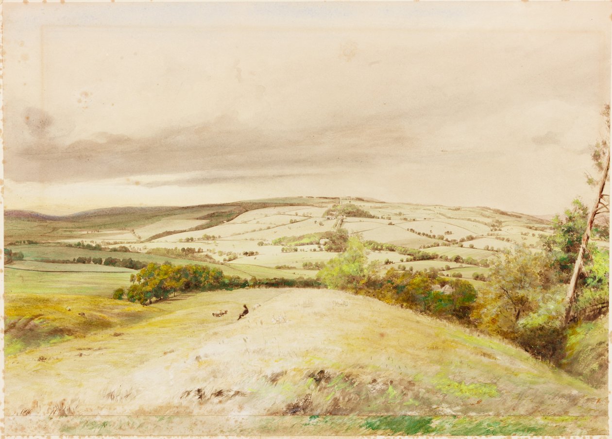 Brunton Bank (kroppsfärg) av Henry Burdon Richardson