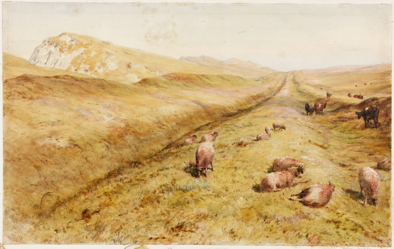 Cawfields (färg) av Henry Burdon Richardson