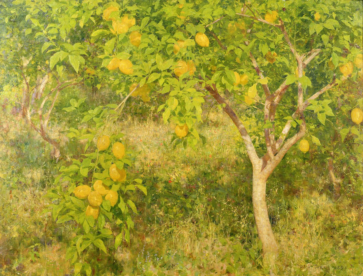 Citronträdet, 1893 av Henry Scott Tuke