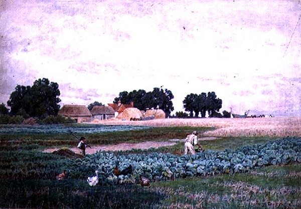 Kålfält och gård av Henry Bailey
