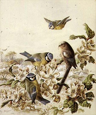 Trädgårdsrånare av Henry Bright