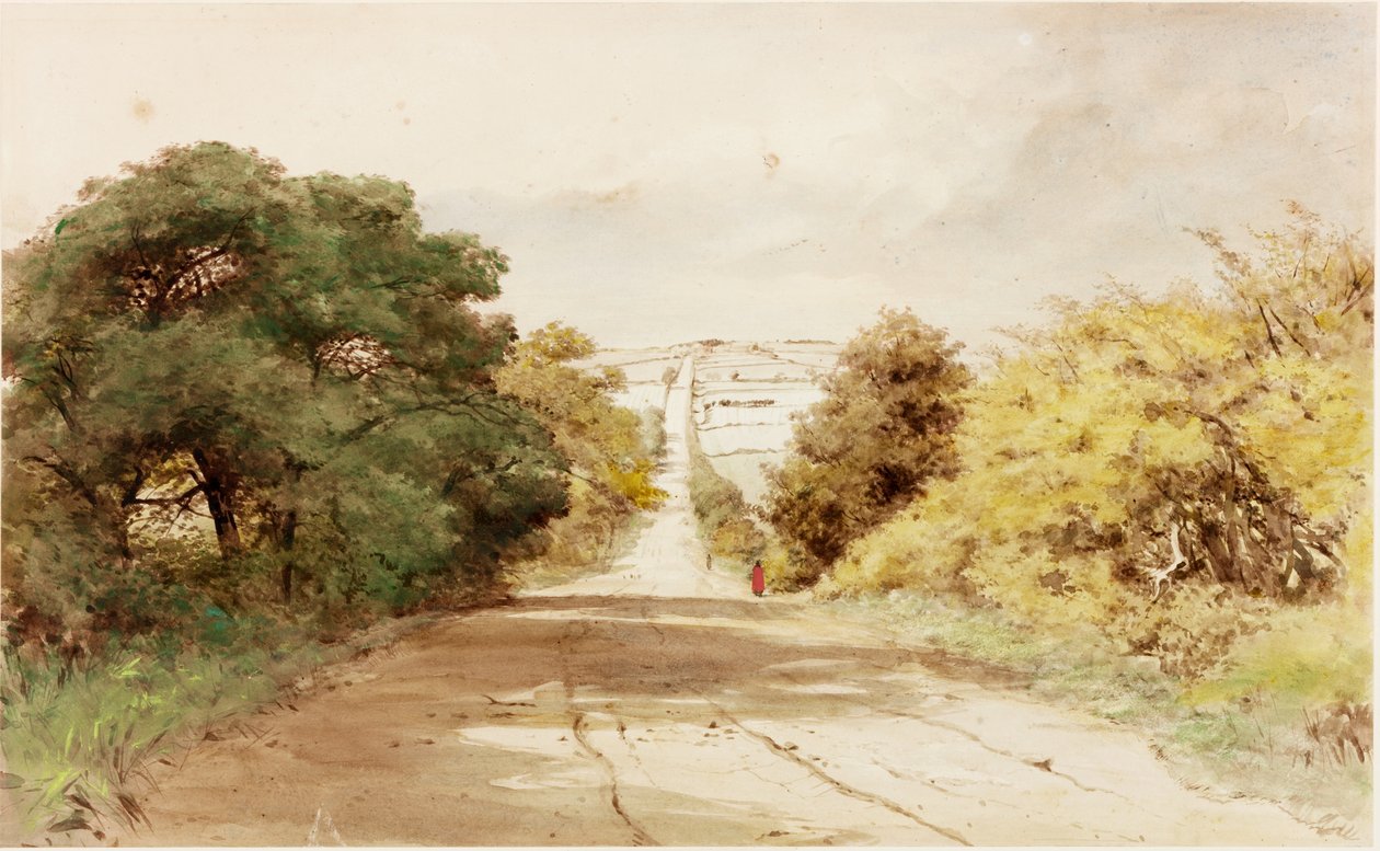 Harlow Hill (kroppsfärg) av Henry Burdon Richardson