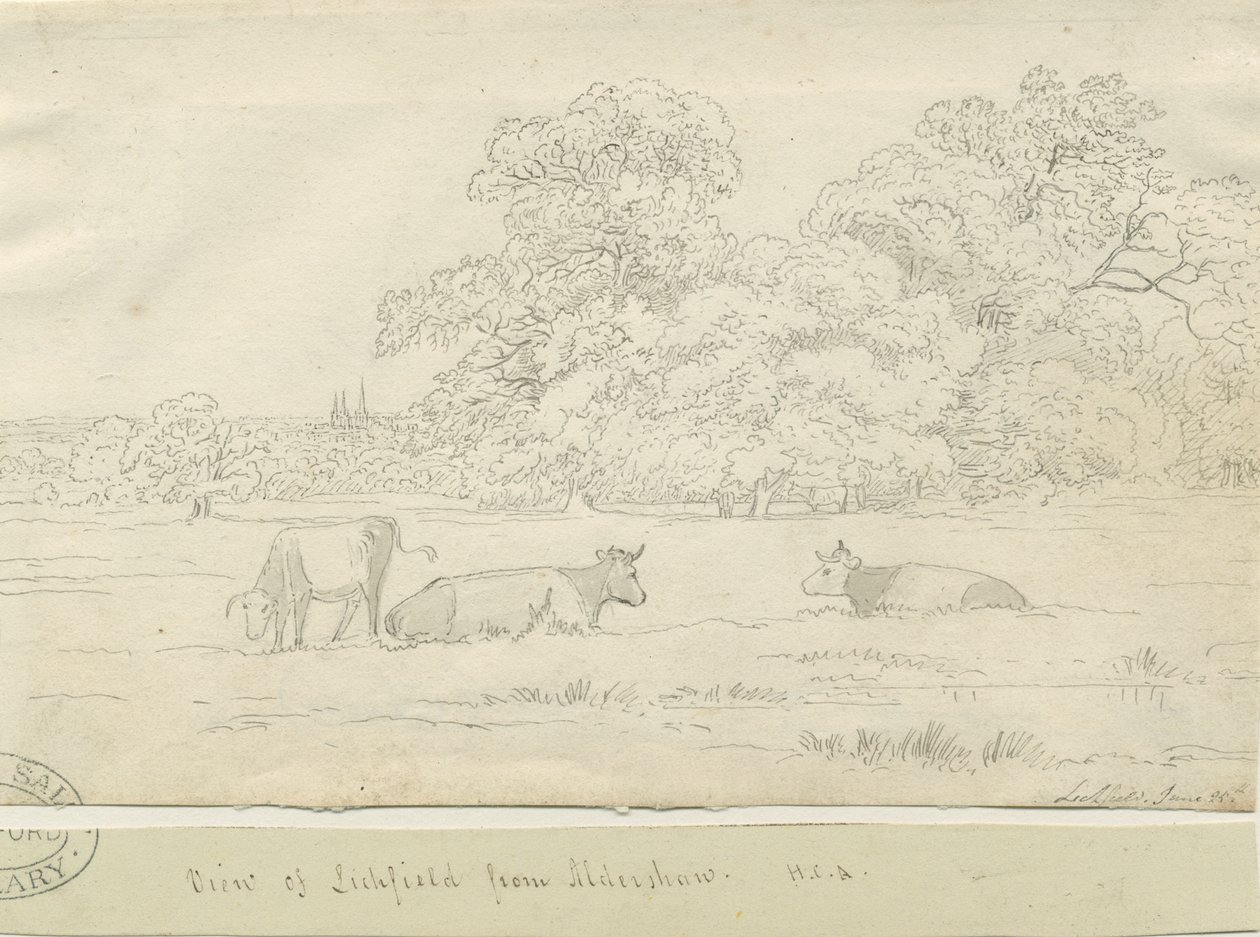 Lichfield - Utsikt från Aldershaw av Henry Curzon Allport